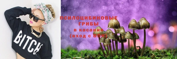 молекула духа Верея