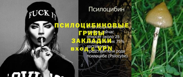 гашик Верхнеуральск