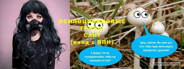 молекула духа Верея