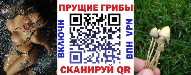 Псилоцибиновые грибы ЛСД  как найти   Жуковский 